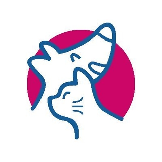 بتيت logo