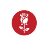 تولين أبيلا للورد والهدايا logo
