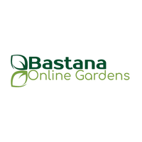 بستنة logo