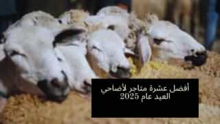 Blog-img