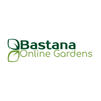 coupon-logo